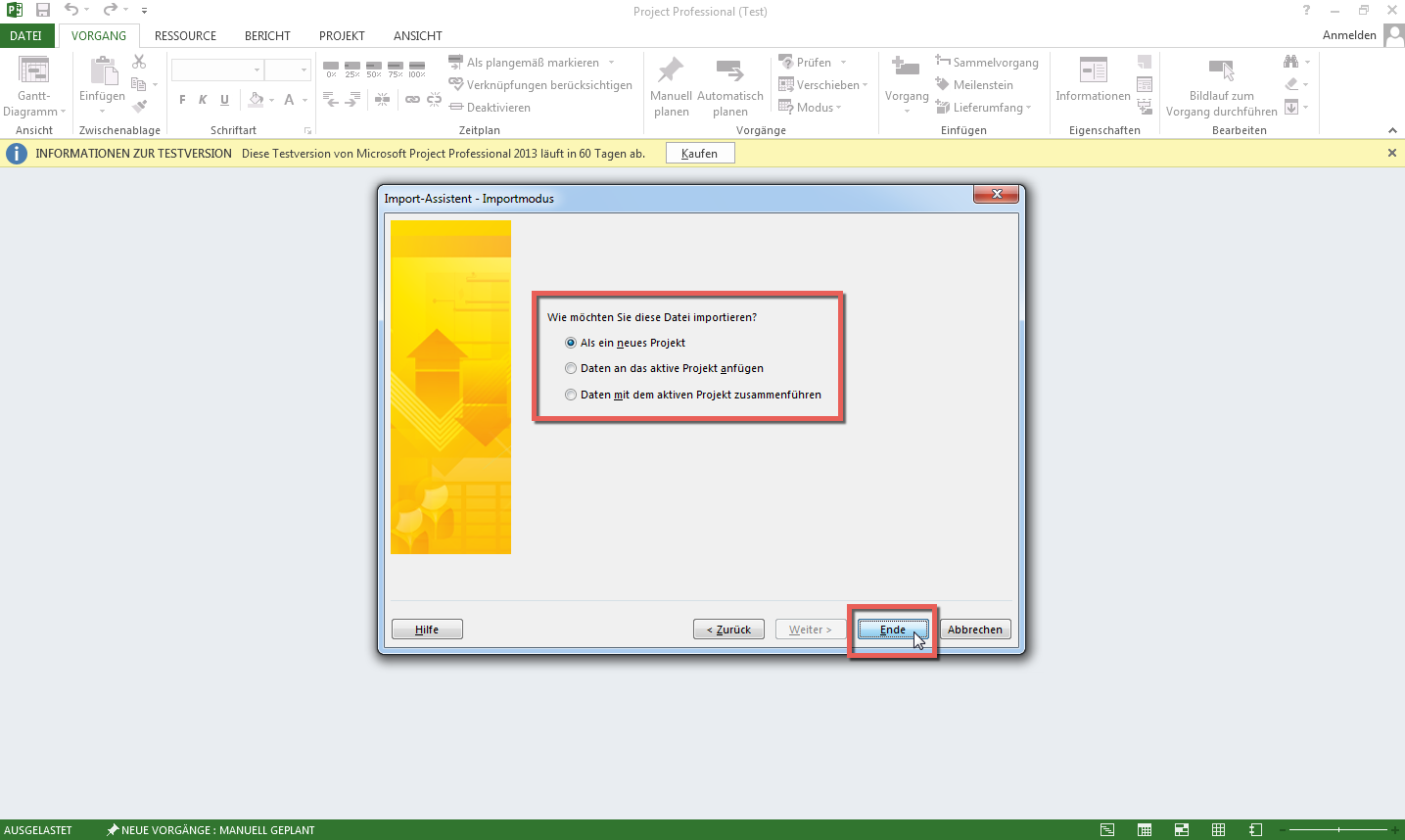 Import in MS Project