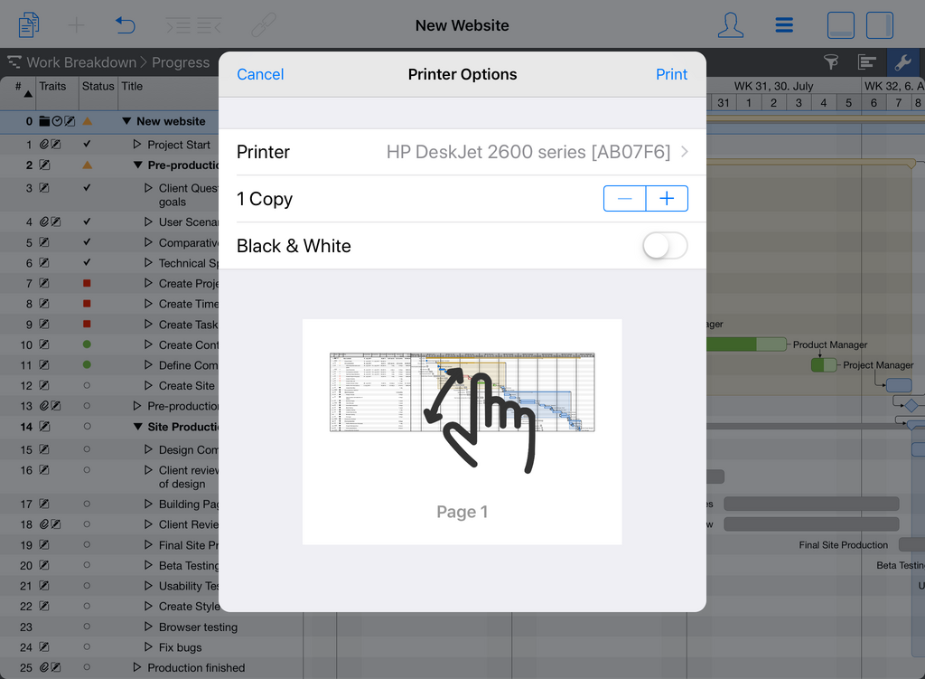 1. Pinch and open the print in PDF