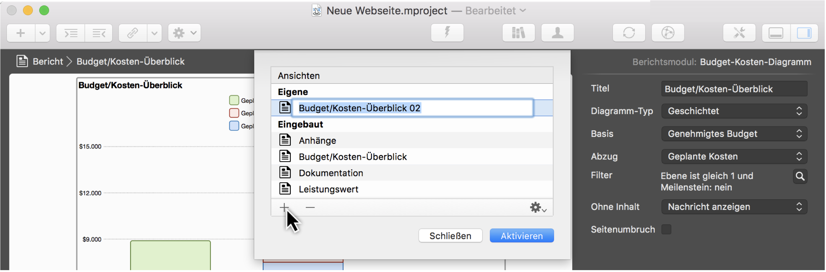 Berichte in Merlin Project