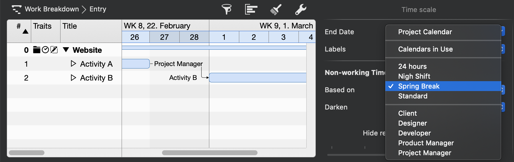 Time Scale - Based on Option