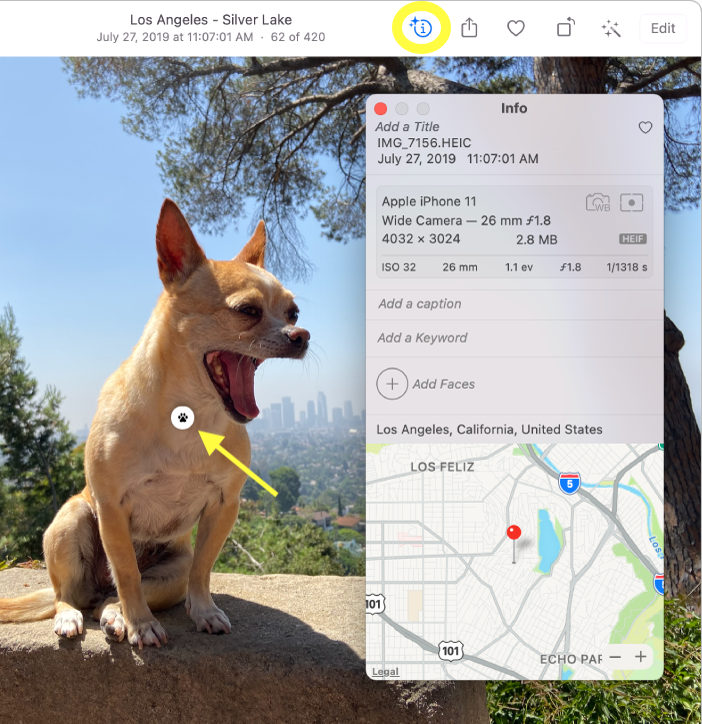 Visual Lookup Mac Visual Lookup Mac