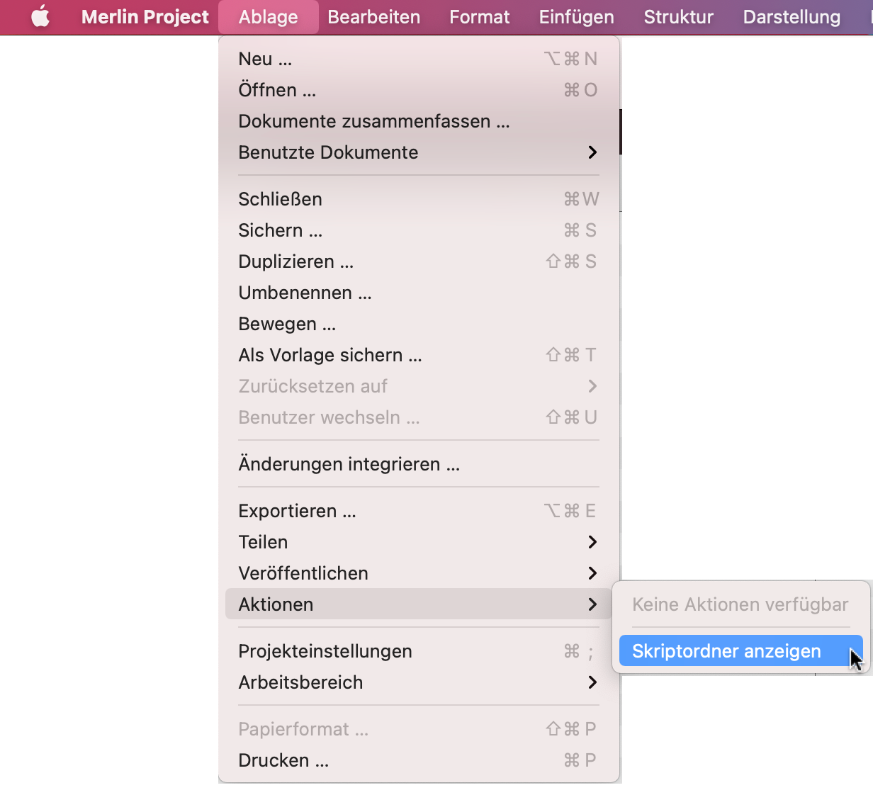 Merlin Project - Skriptordner anzeigen_