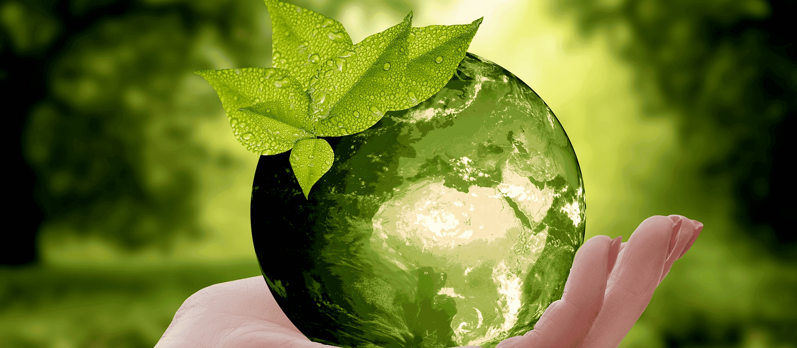 La durabilité dans la gestion de projet