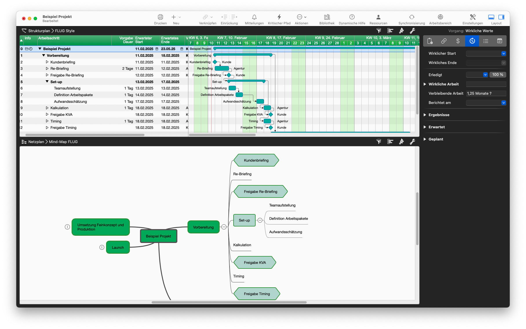 Mindmap in Merlin Project Mindmap in Merlin Project