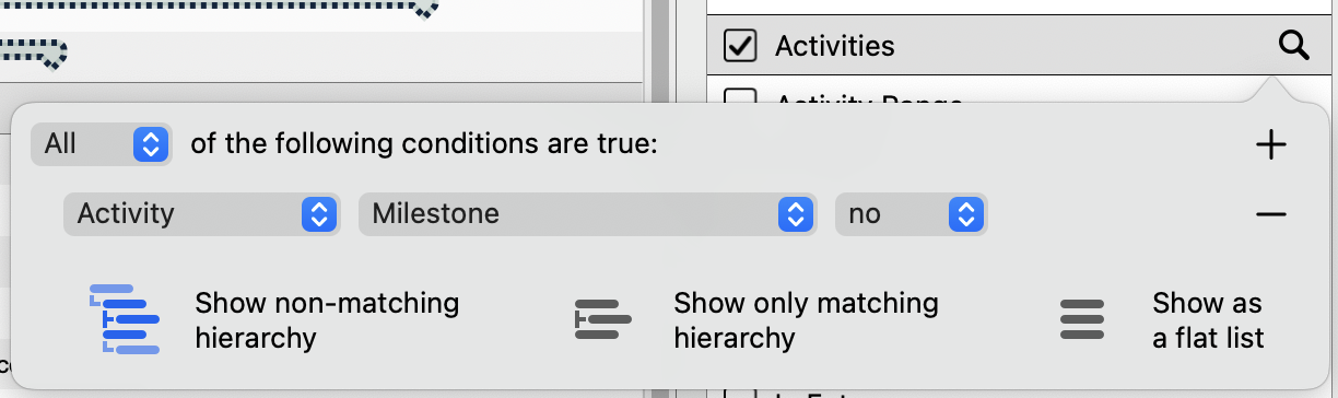 By clicking on the magnifying glass, you can customize the filter in Merlin Project