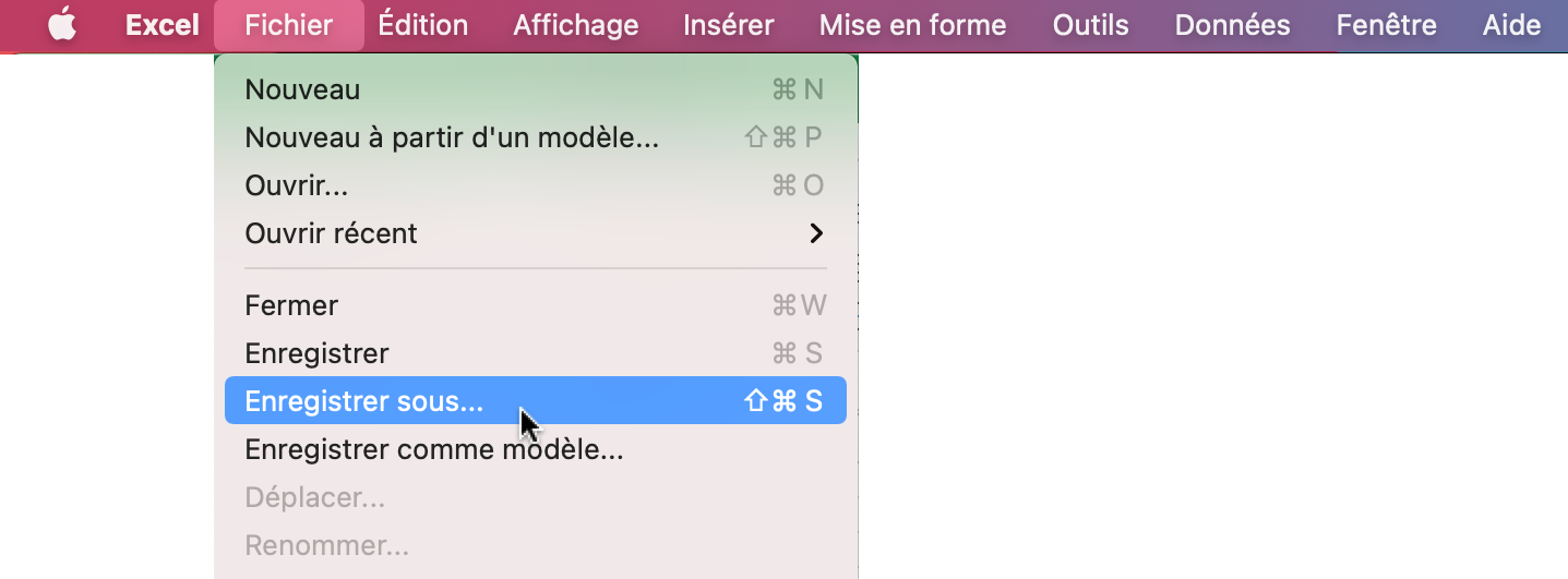 Enregistrer sous …